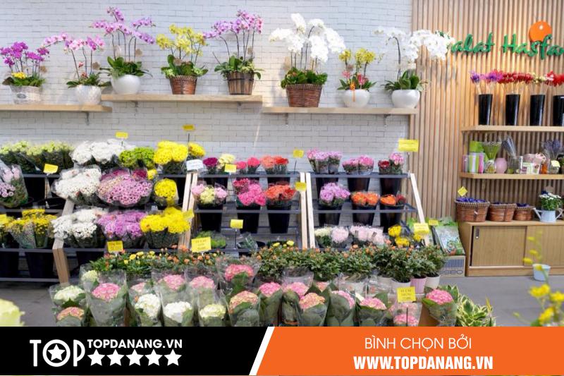 Top 5+ shop hoa tươi Đà Nẵng đẹp và chất lượng nhất