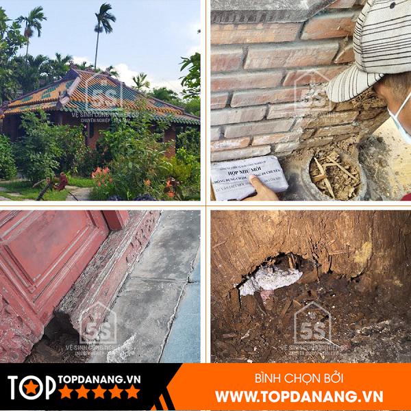 Công Ty Diệt Mối và Côn Trùng 5S Đà Nẵng - ảnh 4