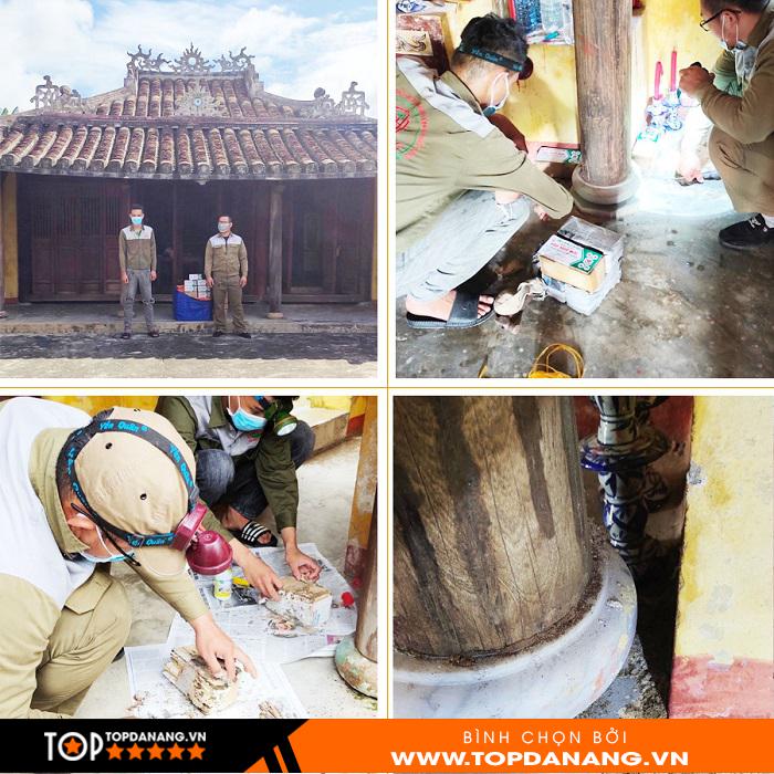 CÔNG TY TNHH TRỪ MỐI VÀ CÔN TRÙNG PHÚC HƯNG - ảnh 5