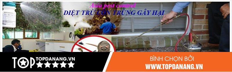 Công Ty Kiểm Soát Côn Trùng Châu Á – Chuyên Thuốc Diệt Mối Đà Nẵng Hàng Đầu - ảnh 2