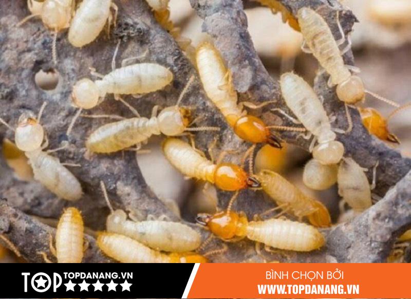 Công Ty Công Nghệ Mới Sao Nam - ảnh 2