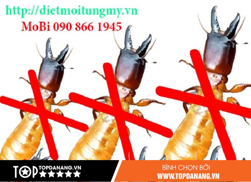 Công Ty Tùng Mỹ – Địa Chỉ Bán Thuốc Diệt Mối Tại Đà Nẵng Đáng Tin Cậy