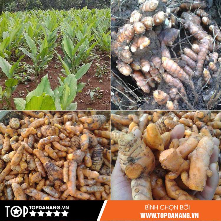 Cơ Sở Tinh bột nghệ Tôn Đản Đà Nẵng - Hotline 0911 96 96 87